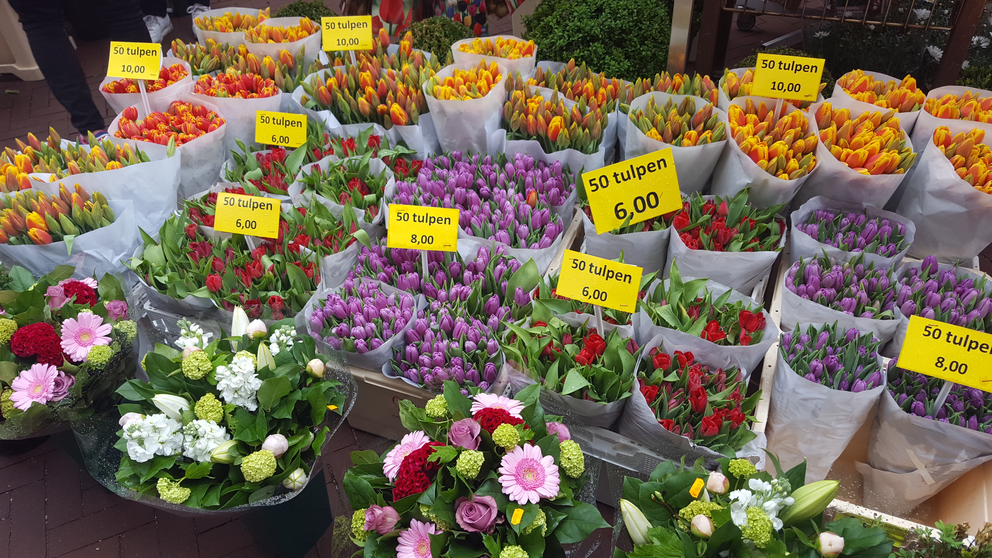Где Купить Цветы В Ростове