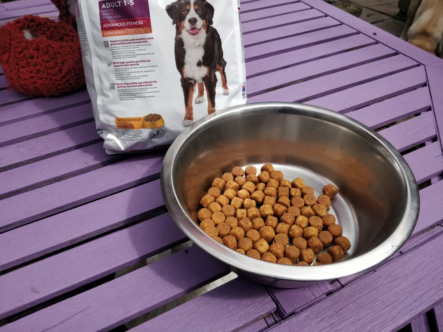 Science Diet Adult Advanced Fitness Dog Food in bowl in garden